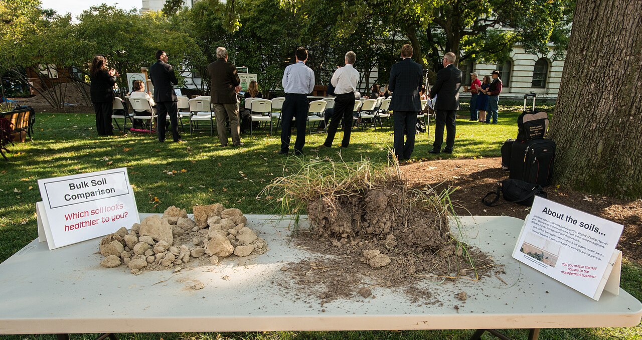 Outdoor soil-health demonstration showing contrasting soil samples on a table within a garden setting