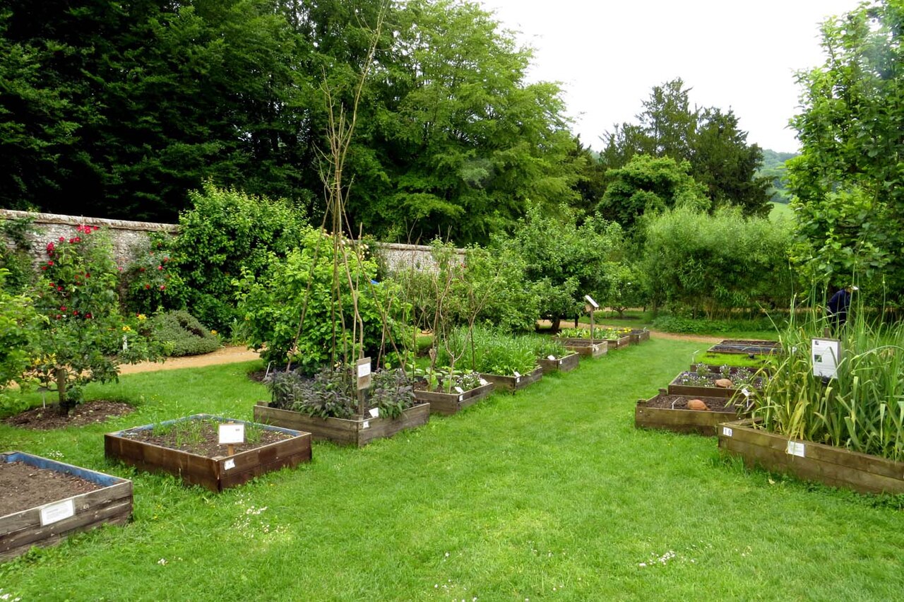 Several planted timber raised beds separated by grass working paths in a walled garden