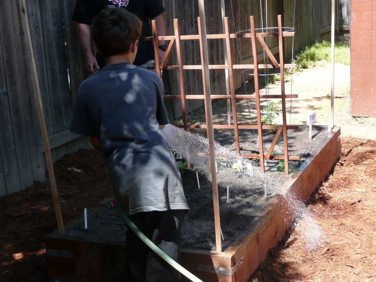 A person uses a hose to water a raised vegetable bed with supports in a community garden