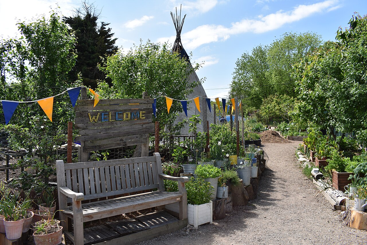 A community edible garden with planted containers, growing areas and a clear path beside a bench
