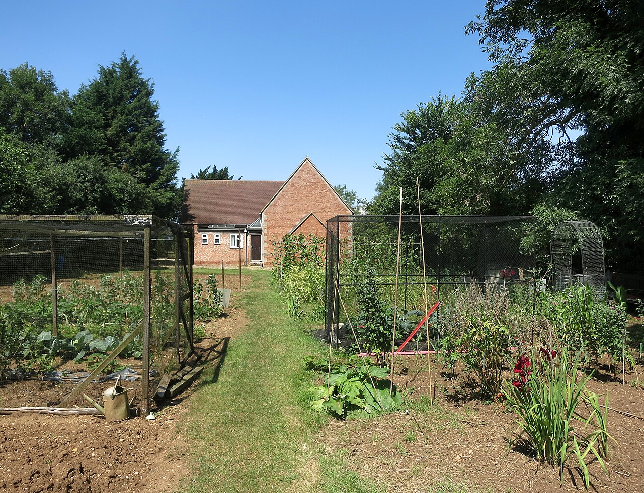 Several outdoor vegetable plots separated by a grass path behind a church