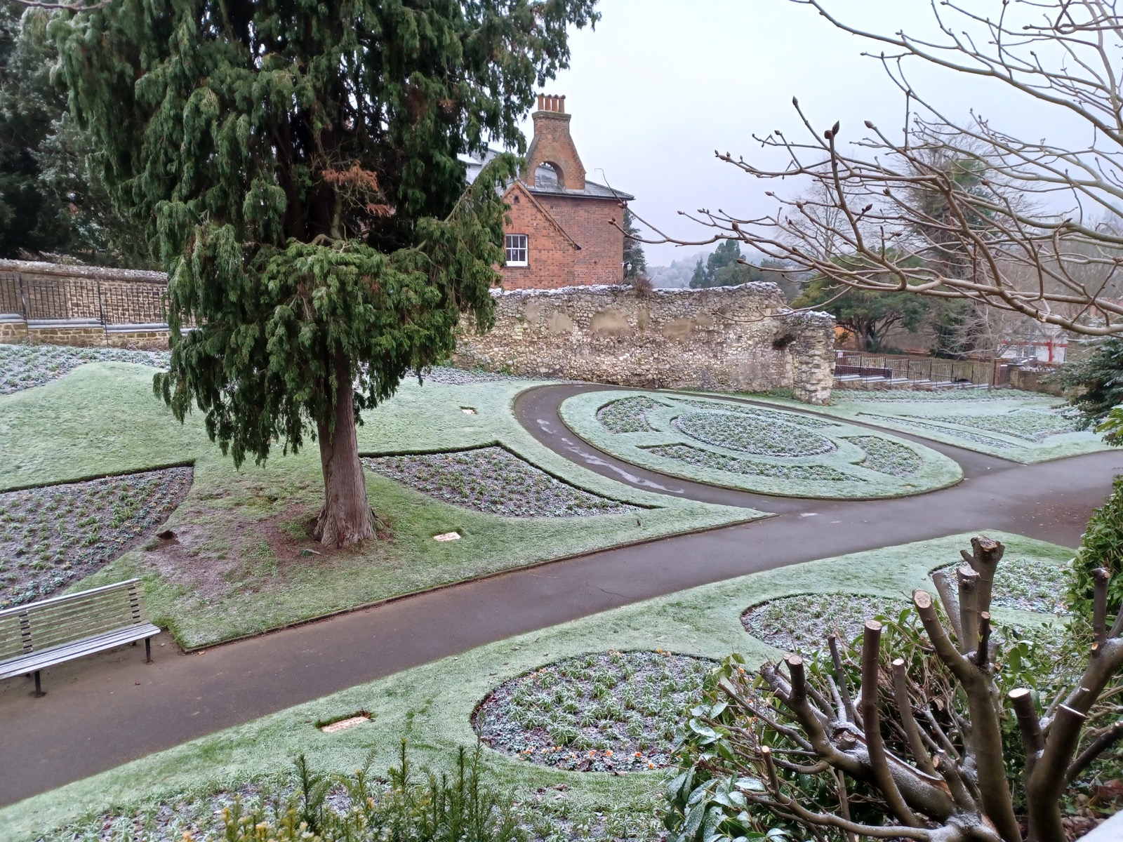 An outdoor garden in cold-season conditions
