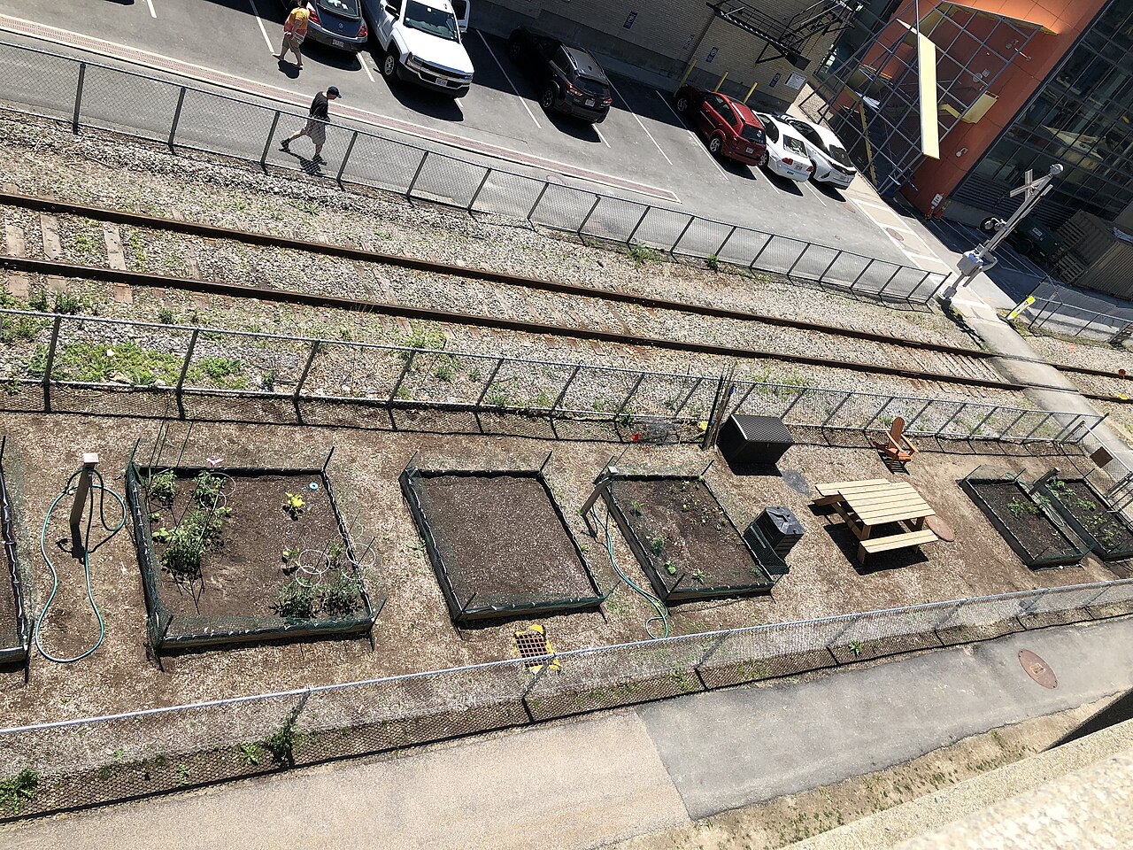 An outdoor community garden with planted beds and watering equipment in the working area