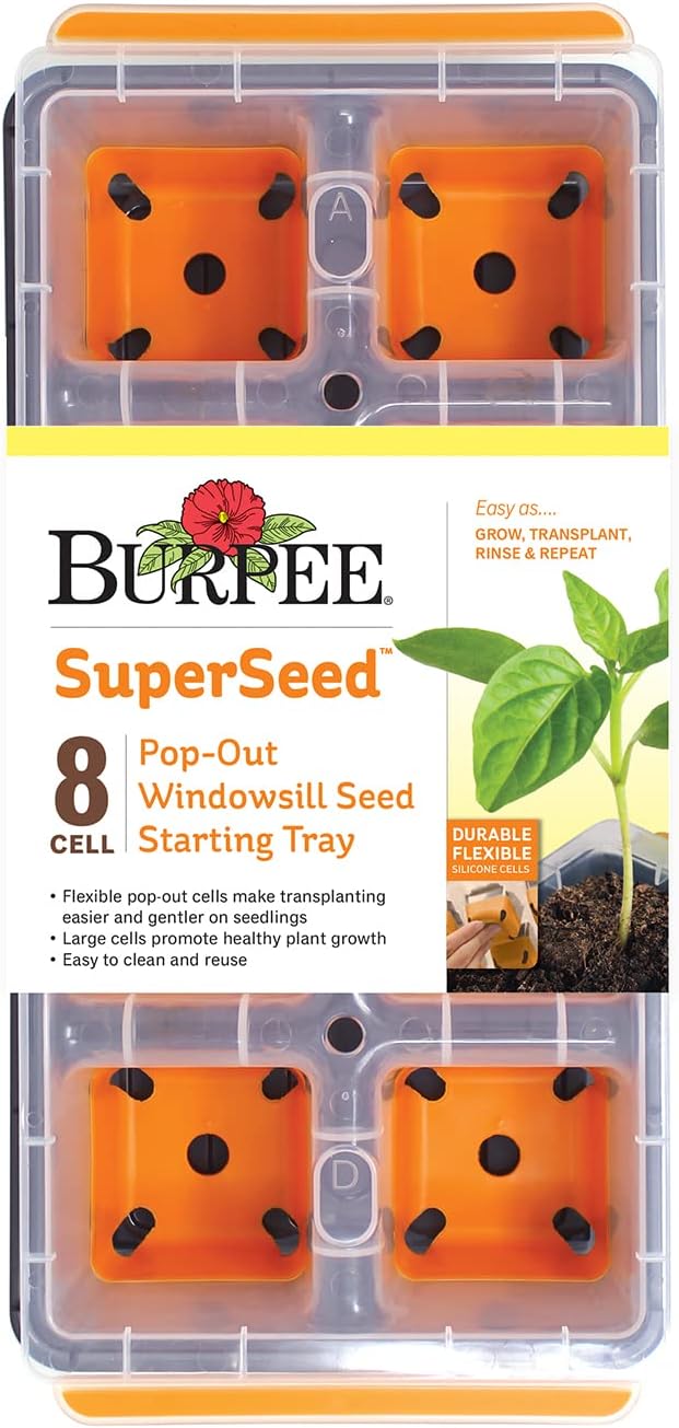 Burpee 96518 orange, eight XL cells, exact Amazon first main photograph