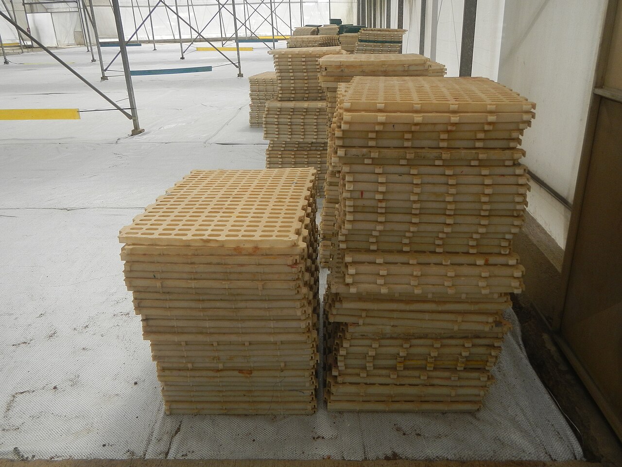 Stacks of empty cell trays in a seedling-growing facility with structural framing and an aisle nearby