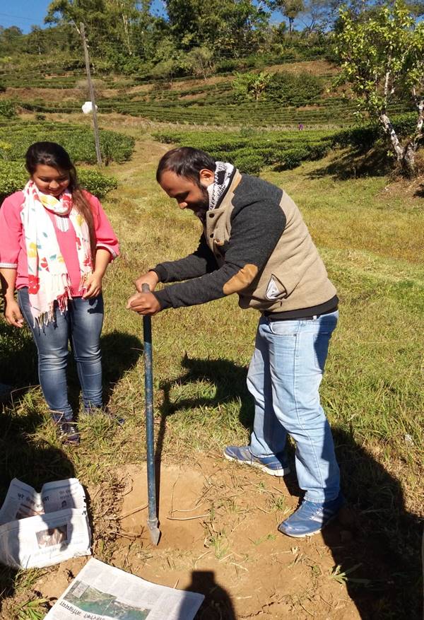 People collecting soil with a sampling tool in an actual field setting