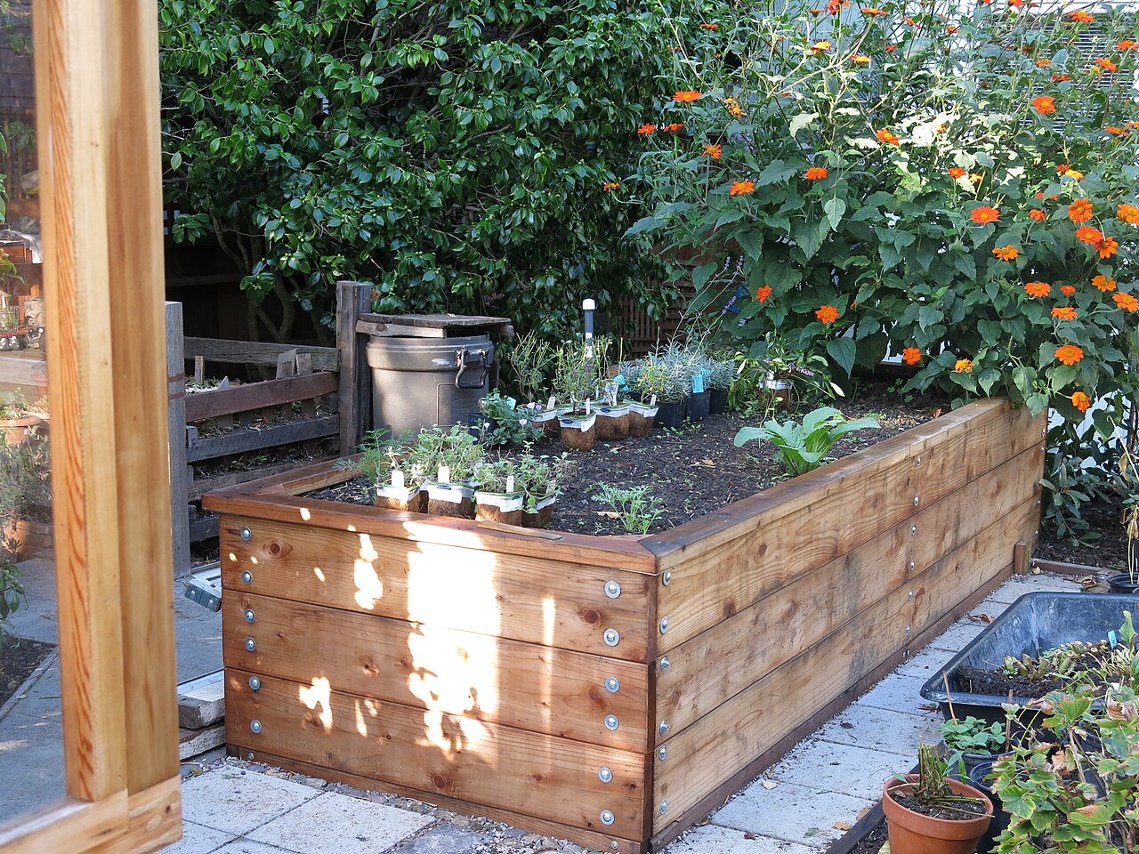 A raised garden bed with small plants in pots and surrounding paths before planting is complete