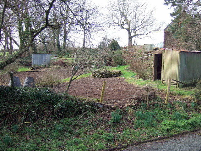 Outdoor vegetable plot in winter with beds, paths, a shed and bare trees